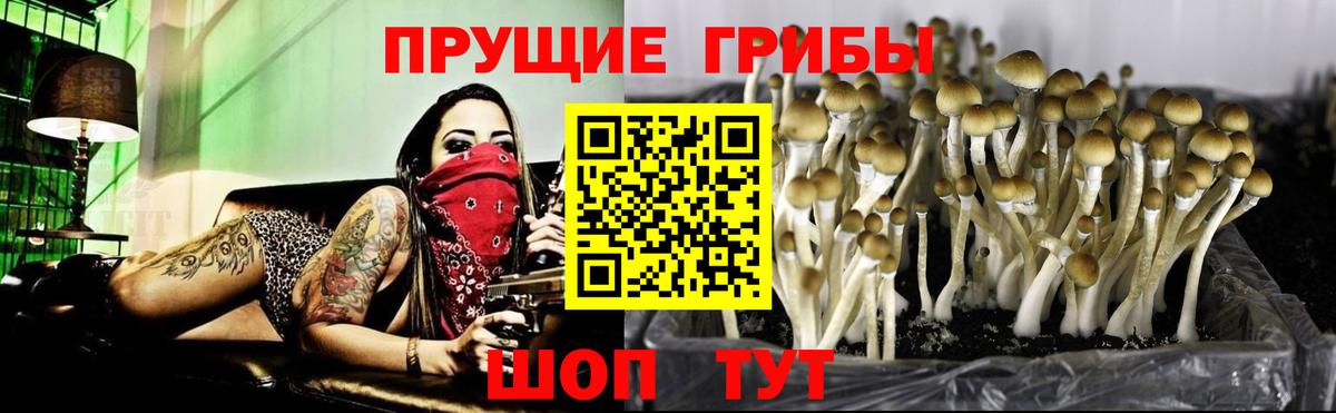 Галлюциногенные грибы прущие грибы Нижнекамск