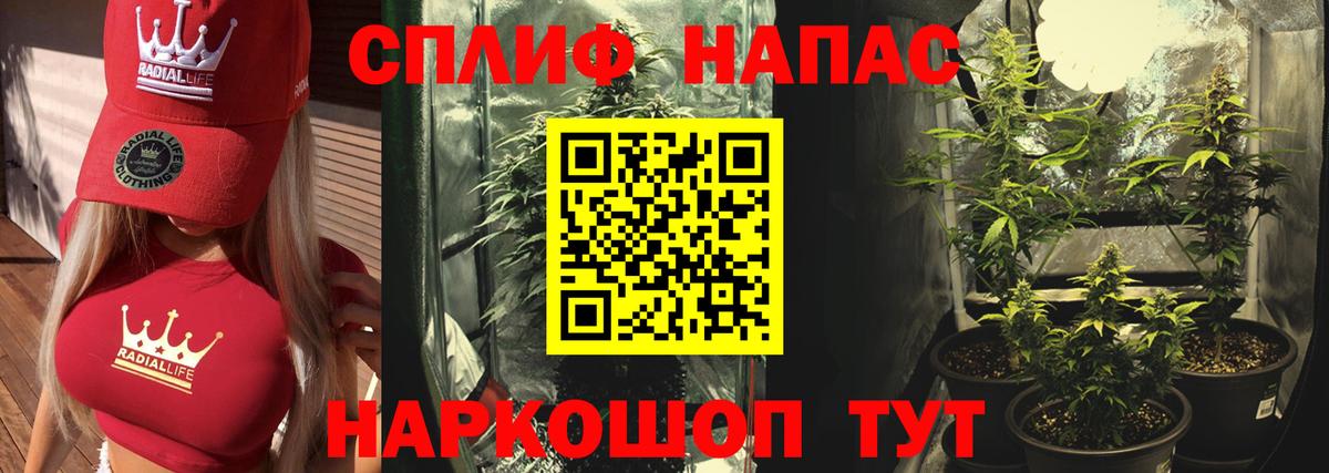 Бошки марихуана VHQ  Бошки Шишки тримм  Нижнекамск  Вход с VPN  Шишки марихуана тримм 